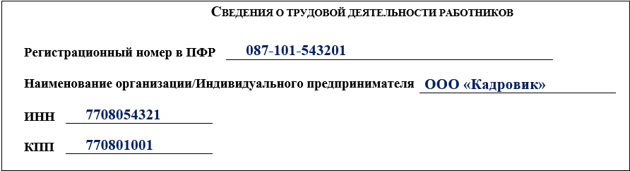 Бланк СЗВ-ТД. Сведения о работодателе